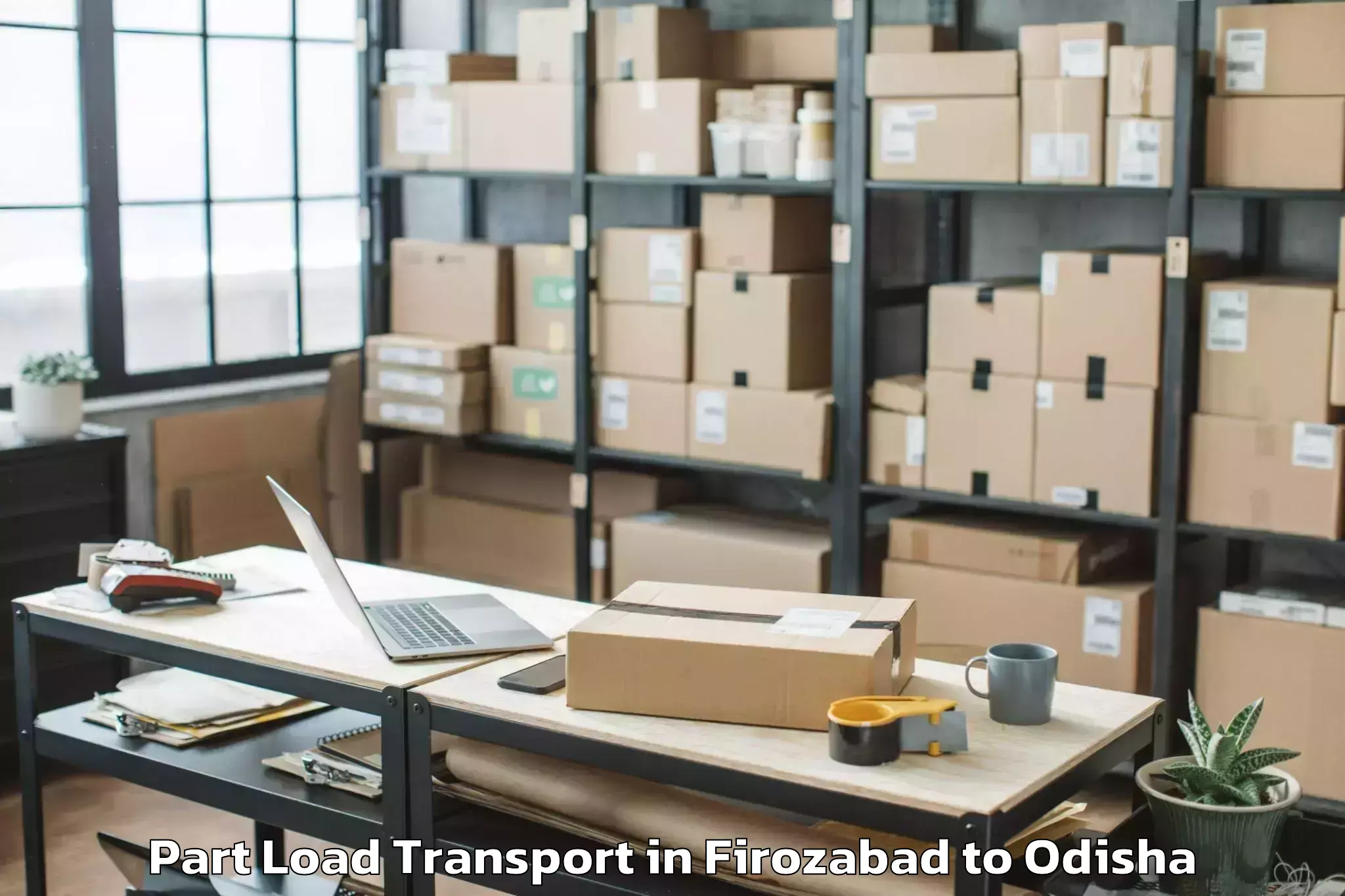 Professional Firozabad to Brajarajnagar Part Load Transport